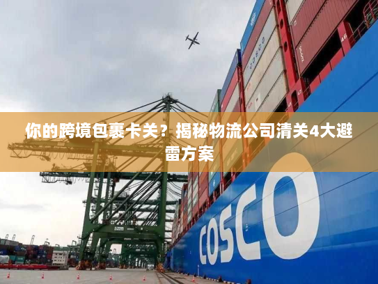 你的跨境包裹卡关?揭秘物流公司清关4大避雷方案 你的跨境包裹卡关?揭秘物流公司清关4大避雷方案