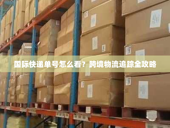 国际快递单号怎么看？跨境物流追踪全攻略