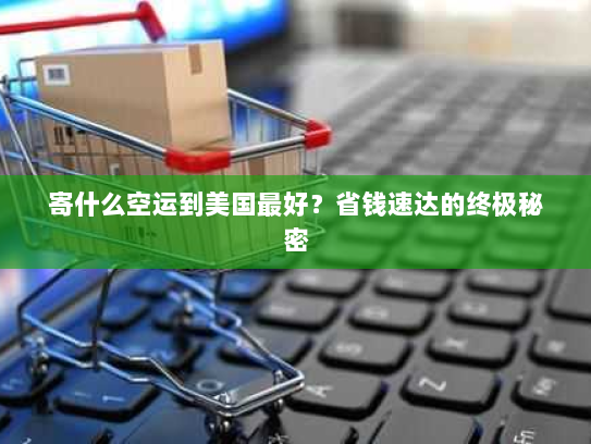 寄什么空运到美国最好?省钱速达的终极秘密 寄什么空运到美国最好?省钱速达的终极秘密