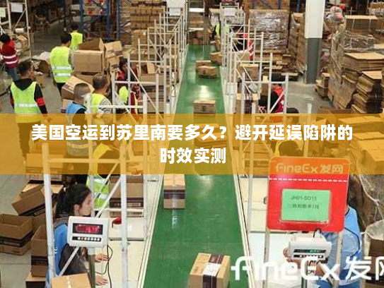美国空运到苏里南要多久?避开延误陷阱的时效实测