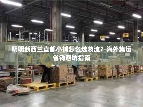 明明新西兰直邮小铺怎么选物流？海外集运省钱避坑指南