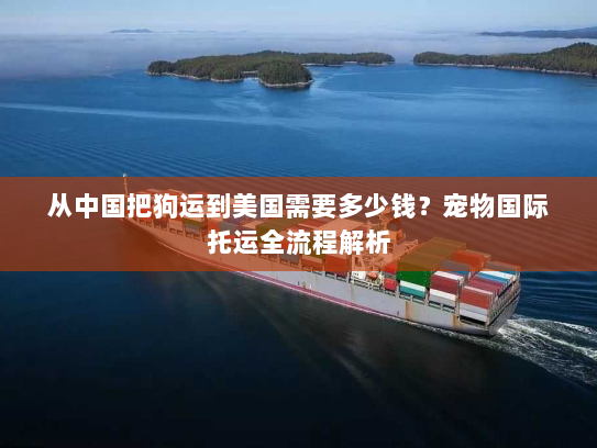 从中国把狗运到美国需要多少钱？宠物国际托运全流程解析