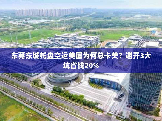 东莞东城托盘空运美国为何总卡关?避开3大坑省钱20%