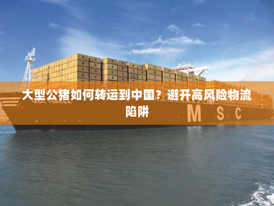 大型公猪如何转运到中国？避开高风险物流陷阱