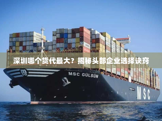 深圳哪个货代最大？揭秘头部企业选择诀窍