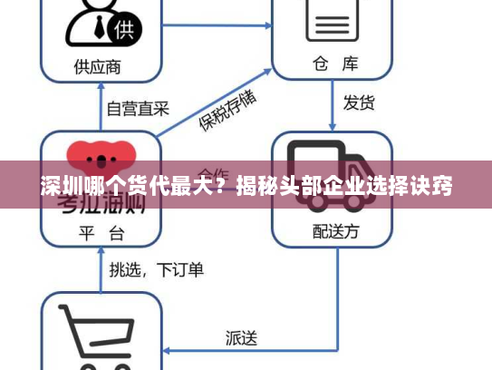 深圳哪个货代最大？揭秘头部企业选择诀窍