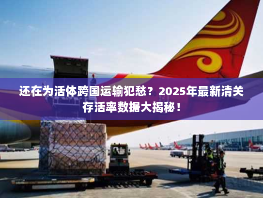 还在为活体跨国运输犯愁?2025年最新清关存活率数据大揭秘! 还在为活体跨国运输犯愁?2025年最新清关存活率数据大揭秘!