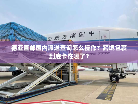 德亚直邮国内派送查询怎么操作？跨境包裹到底卡在哪了？