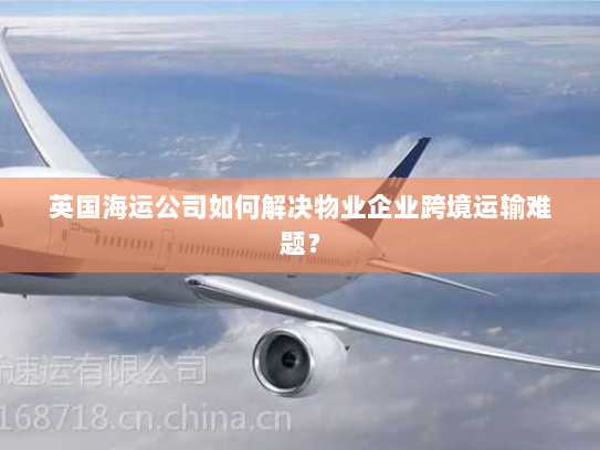 英国海运公司如何解决物业企业跨境运输难题？