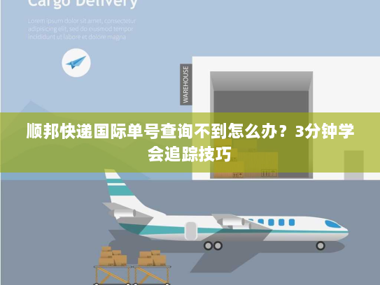 顺邦快递国际单号查询不到怎么办？3分钟学会追踪技巧