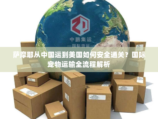 萨摩耶从中国运到美国如何安全通关?国际宠物运输全流程解析 萨摩耶从中国运到美国如何安全通关?国际宠物运输全流程解析