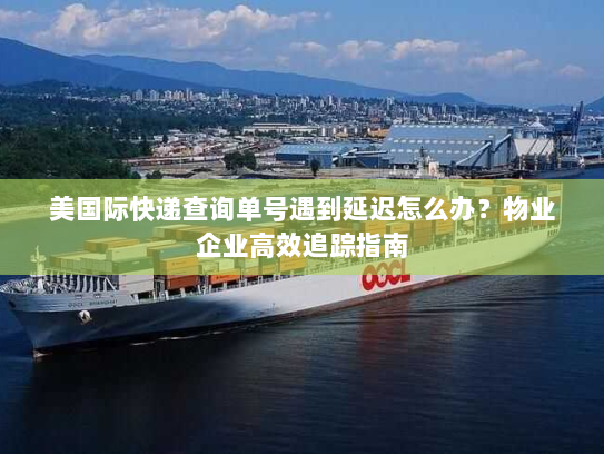美国际快递查询单号遇到延迟怎么办？物业企业高效追踪指南