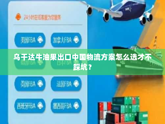 乌干达牛油果出口中国物流方案怎么选才不踩坑? 乌干达牛油果出口中国物流方案怎么选才不踩坑?