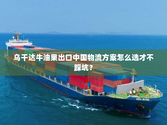 乌干达牛油果出口中国物流方案怎么选才不踩坑? 乌干达牛油果出口中国物流方案怎么选才不踩坑?