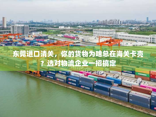 东莞进口清关,你的货物为啥总在海关卡壳?选对物流企业一招搞定 东莞进口清关,你的货物为啥总在海关卡壳?选对物流企业一招搞定