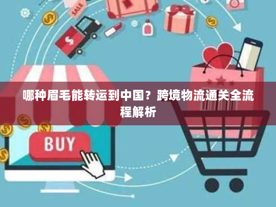 哪种眉毛能转运到中国?跨境物流通关全流程解析 哪种眉毛能转运到中国?跨境物流通关全流程解析