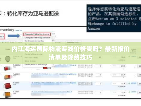 内江海运国际物流专线价格贵吗？最新报价清单及降费技巧
