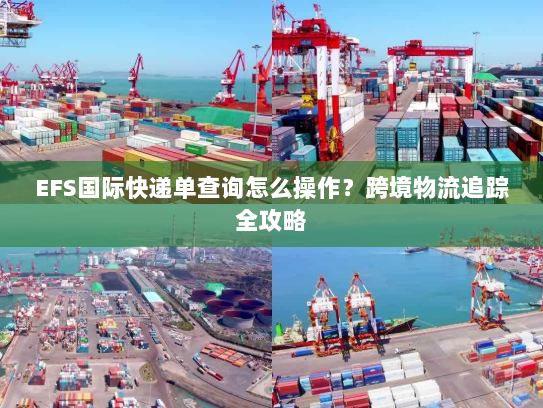 EFS国际快递单查询怎么操作？跨境物流追踪全攻略