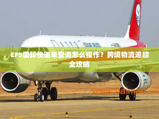 EFS国际快递单查询怎么操作？跨境物流追踪全攻略