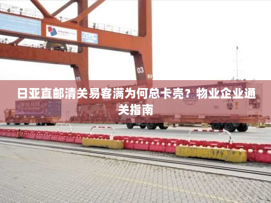 日亚直邮清关易客满为何总卡壳？物业企业通关指南