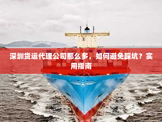 深圳货运代理公司那么多,如何避免踩坑?实用指南 深圳货运代理公司那么多,如何避免踩坑?实用指南