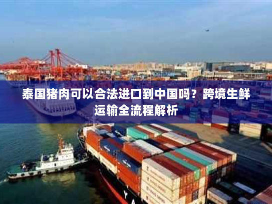 泰国猪肉可以合法进口到中国吗?跨境生鲜运输全流程解析 泰国猪肉可以合法进口到中国吗?跨境生鲜运输全流程解析