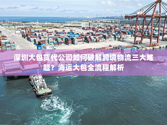 深圳大包货代公司如何破解跨境物流三大难题?海运大包全流程解析 深圳大包货代公司如何破解跨境物流三大难题?海运大包全流程解析