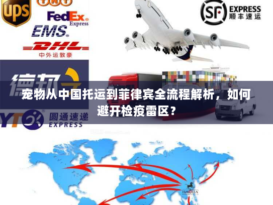 宠物从中国托运到菲律宾全流程解析，如何避开检疫雷区？