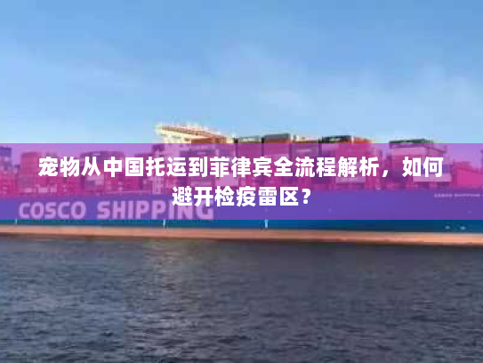 宠物从中国托运到菲律宾全流程解析，如何避开检疫雷区？