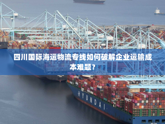 四川国际海运物流专线如何破解企业运输成本难题？