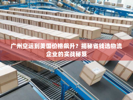 广州空运到美国价格飙升?揭秘省钱选物流企业的实战秘笈 广州空运到美国价格飙升?揭秘省钱选物流企业的实战秘笈