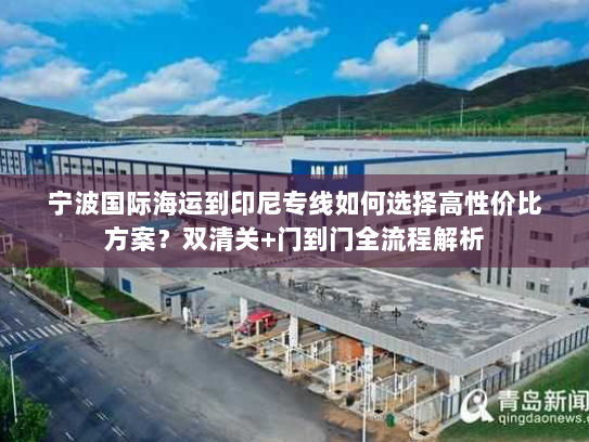 宁波国际海运到印尼专线如何选择高性价比方案？双清关+门到门全流程解析