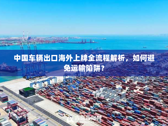 中国车辆出口海外上牌全流程解析，如何避免运输陷阱？