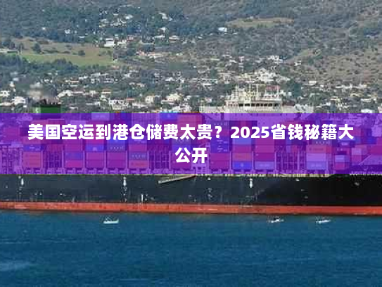美国空运到港仓储费太贵？2025省钱秘籍大公开