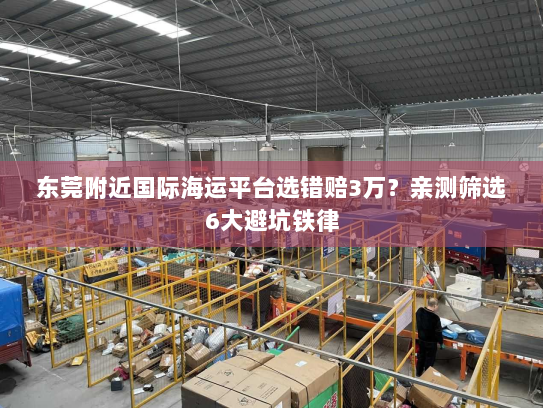 东莞附近国际海运平台选错赔3万？亲测筛选6大避坑铁律