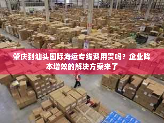 肇庆到汕头国际海运专线费用贵吗？企业降本增效的解决方案来了