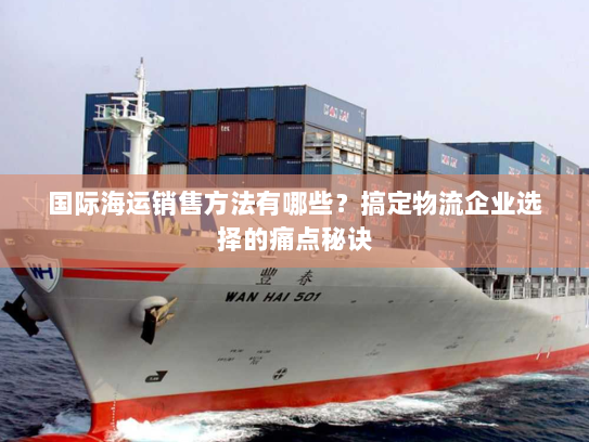 国际海运销售方法有哪些?搞定物流企业选择的痛点秘诀 国际海运销售方法有哪些?搞定物流企业选择的痛点秘诀