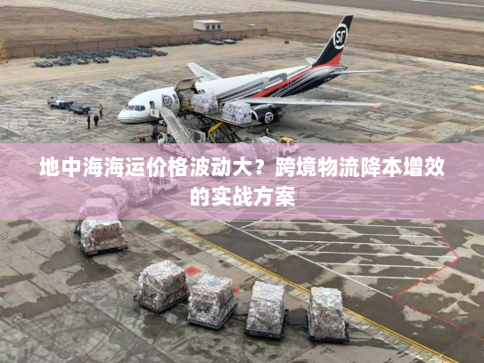 地中海海运价格波动大？跨境物流降本增效的实战方案