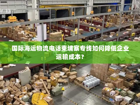 国际海运物流电话柬埔寨专线如何降低企业运输成本？