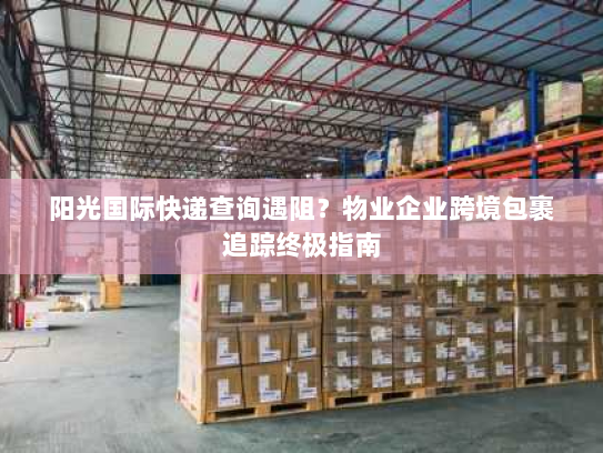 阳光国际快递查询遇阻？物业企业跨境包裹追踪终极指南