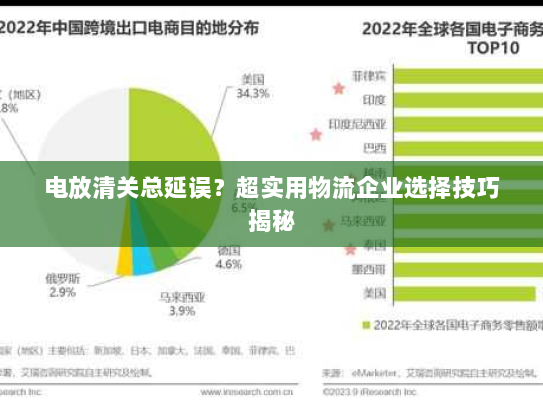 电放清关总延误？超实用物流企业选择技巧揭秘