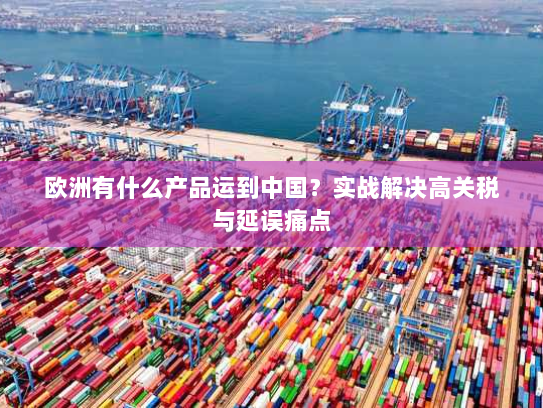 欧洲有什么产品运到中国?实战解决高关税与延误痛点 欧洲有什么产品运到中国?实战解决高关税与延误痛点