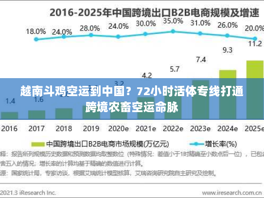 越南斗鸡空运到中国?72小时活体专线打通跨境农畜空运命脉 越南斗鸡空运到中国?72小时活体专线打通跨境农畜空运命脉