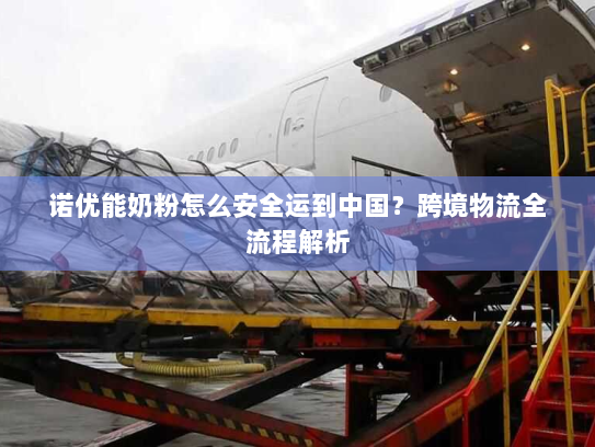 诺优能奶粉怎么安全运到中国?跨境物流全流程解析 诺优能奶粉怎么安全运到中国?跨境物流全流程解析