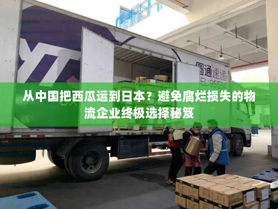 从中国把西瓜运到日本？避免腐烂损失的物流企业终极选择秘笈