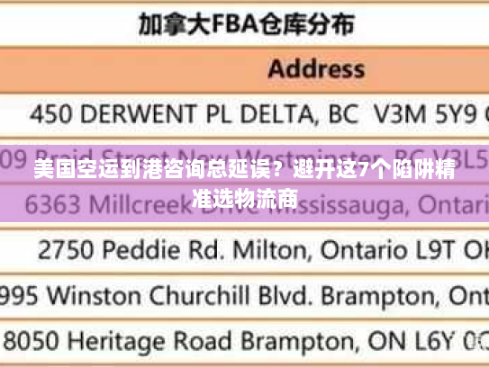 美国空运到港咨询总延误?避开这7个陷阱精准选物流商 美国空运到港咨询总延误?避开这7个陷阱精准选物流商