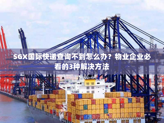 SGX国际快递查询不到怎么办？物业企业必看的3种解决方法