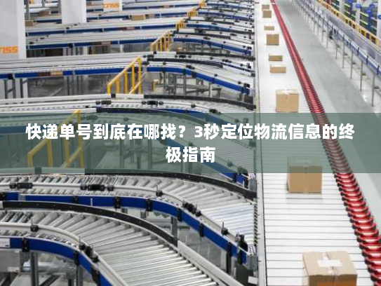快递单号到底在哪找？3秒定位物流信息的终极指南