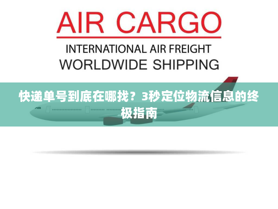 快递单号到底在哪找？3秒定位物流信息的终极指南