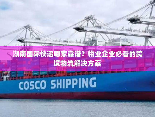 湖南国际快递哪家靠谱？物业企业必看的跨境物流解决方案